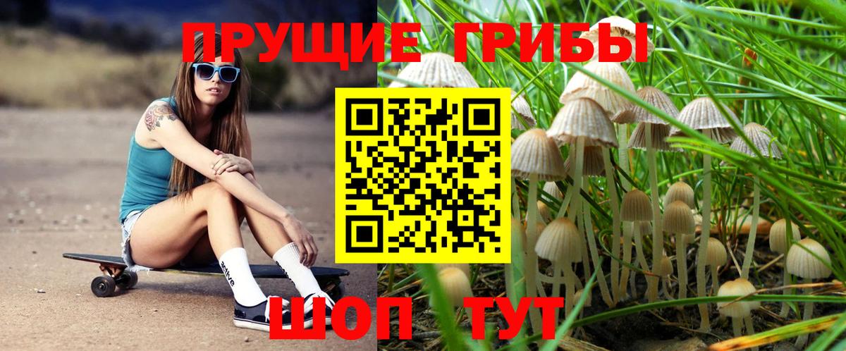 Тосно  Псилоцибиновые грибы мицелий  Вход с VPN 